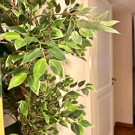 Διαμέρισμα La Casa Di Famiglia - Elegante Immobile Di Prestigio In Centro Τορίνο